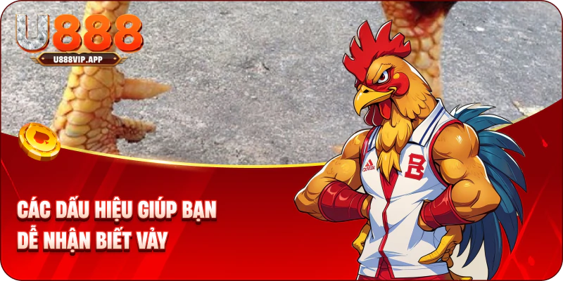 Các dấu hiệu giúp bạn dễ nhận biết vảy